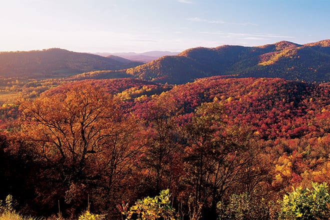 Walnut Cove and Pisgah Mountain