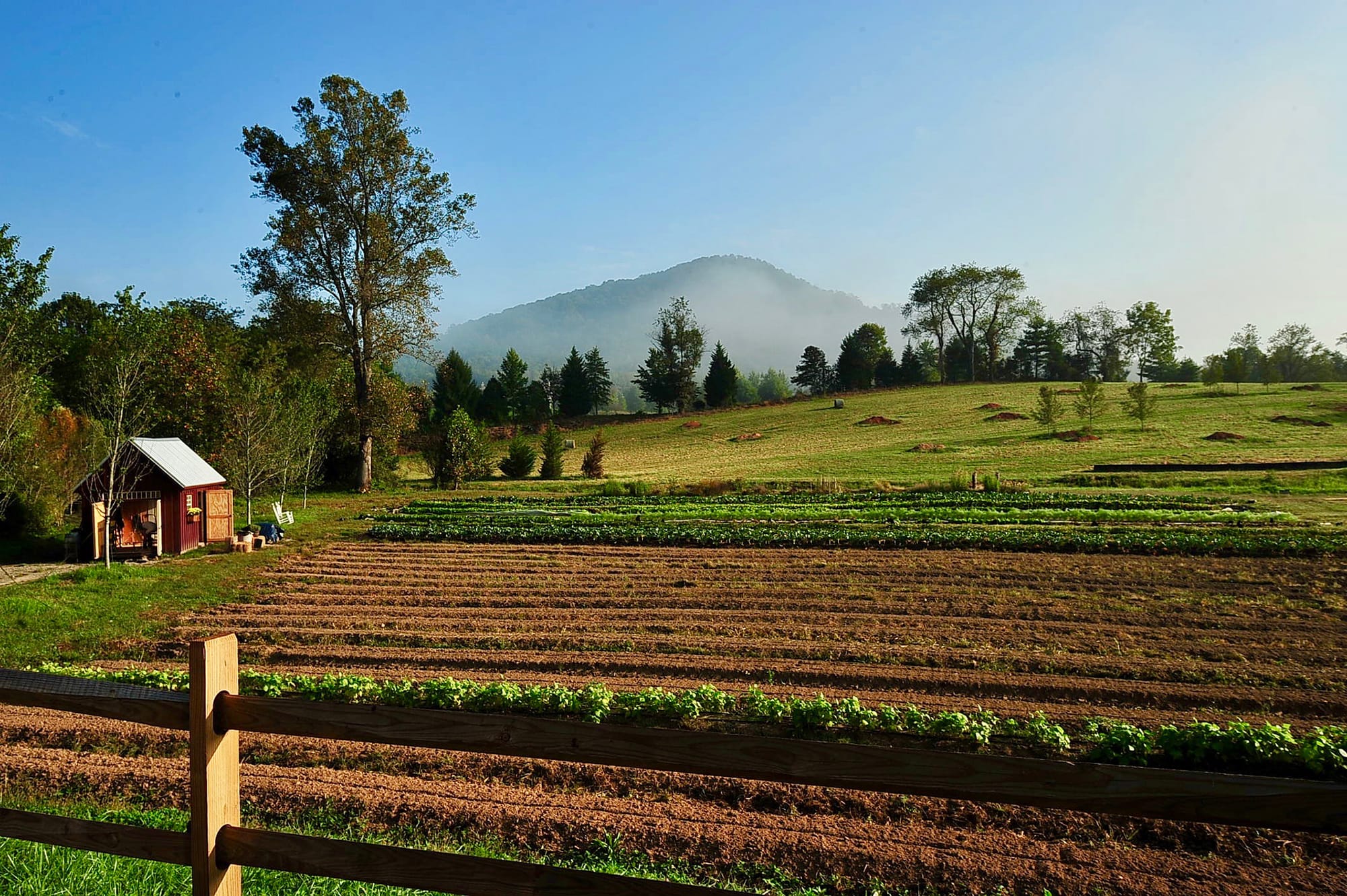Creekside Farm at Walnut Cove