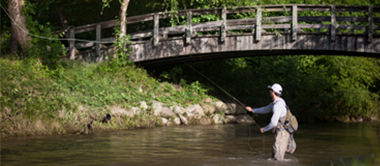 Fall Creek Waterfall
