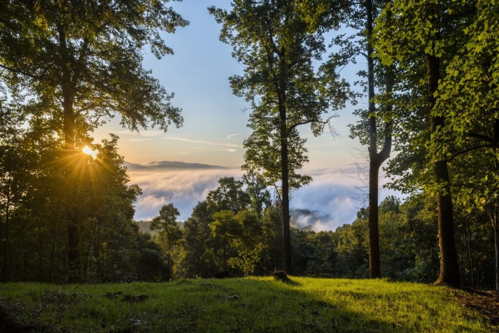 choose the perfect homesite lake shoreline