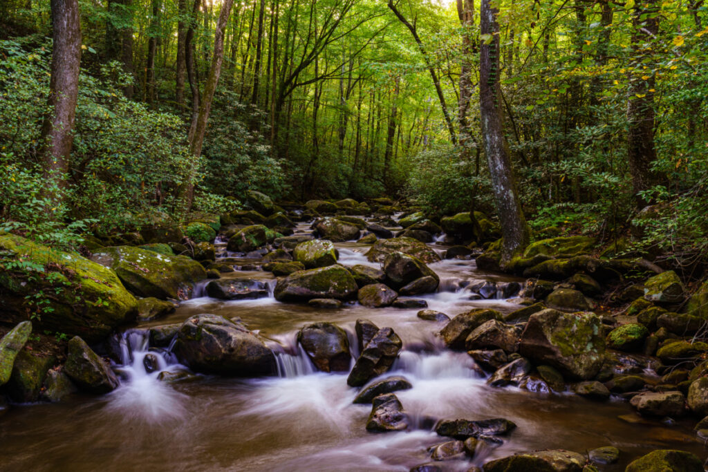 south carolina state parks