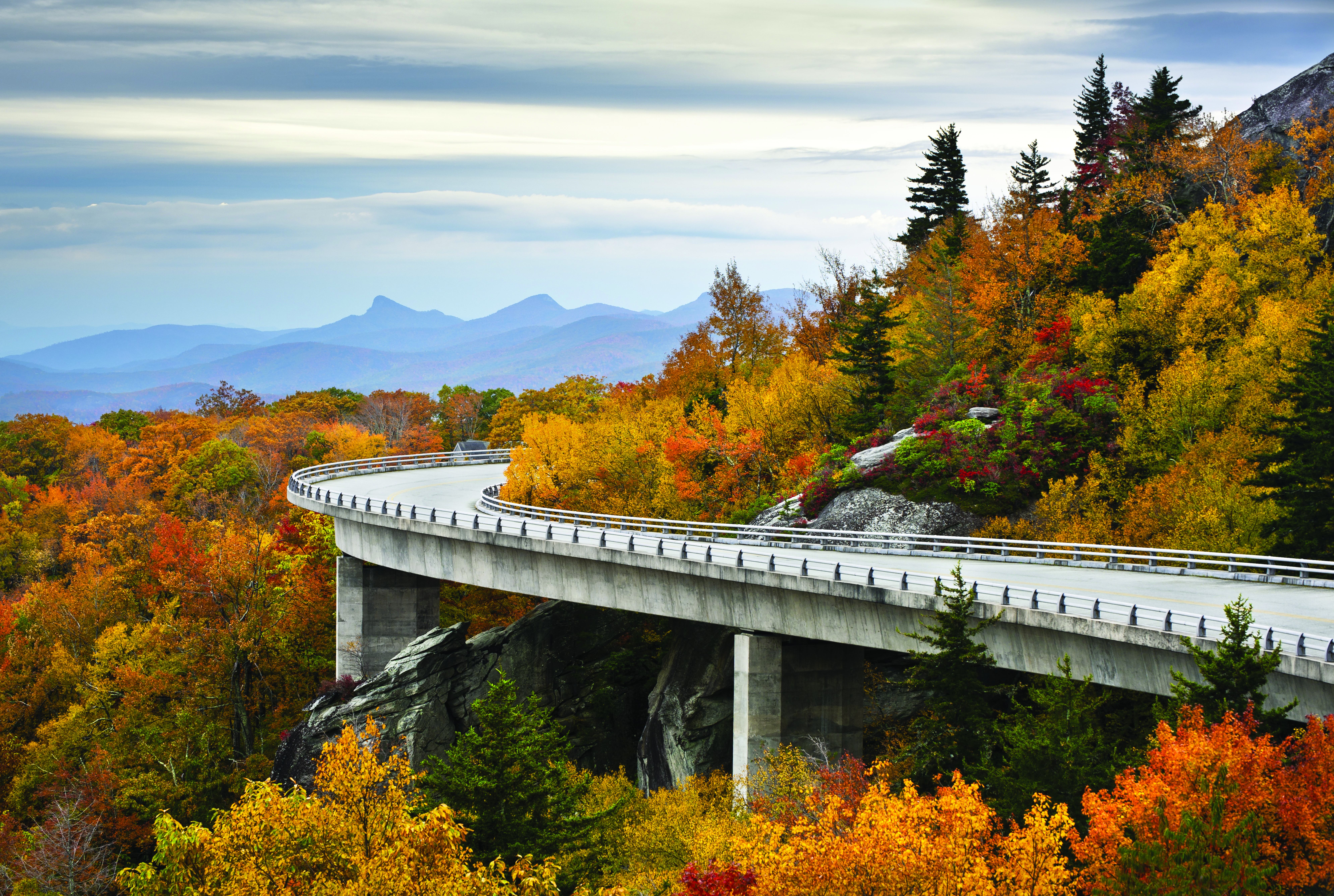 Blue Ridge Parkway Autumn
