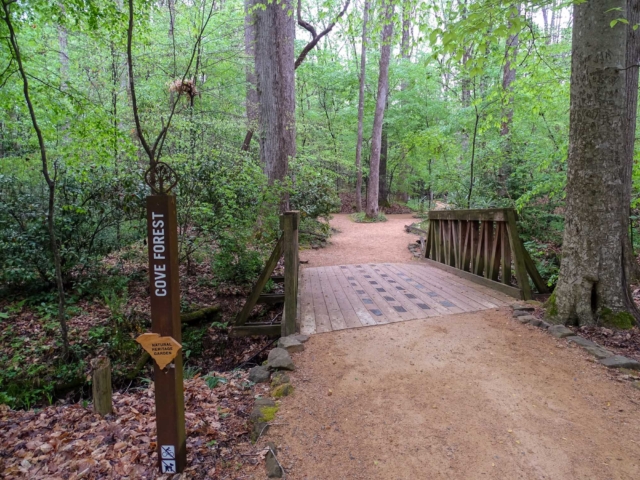 NHT – Cover Forest