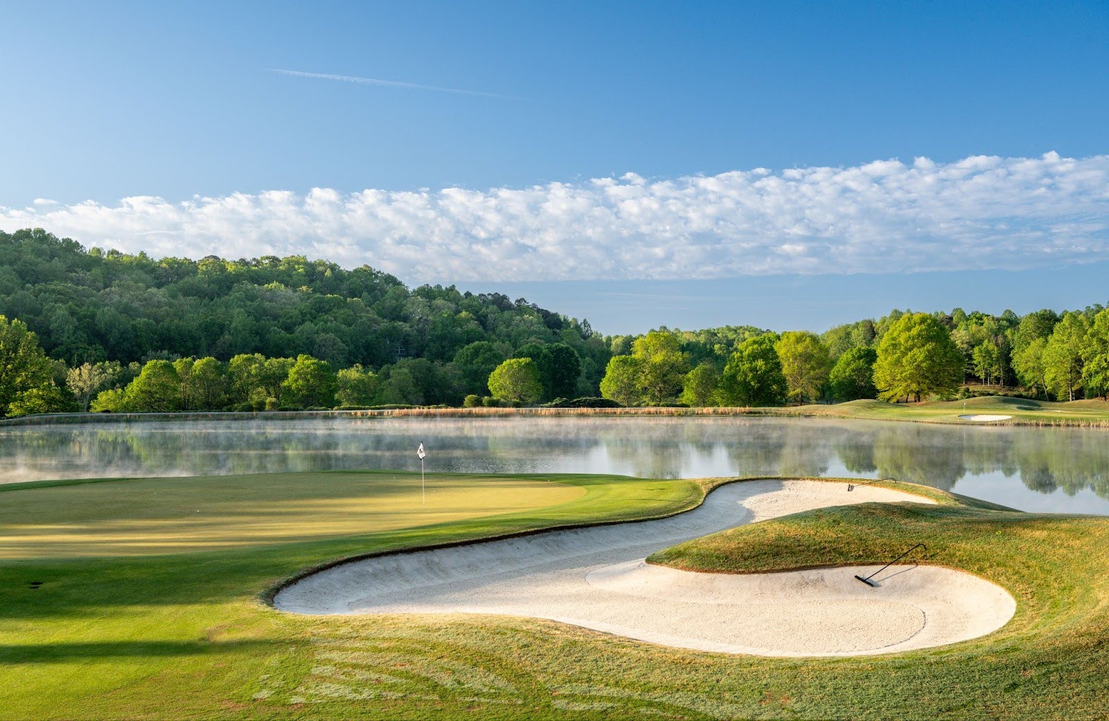 improve course management